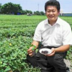 【農創故事】室內設計師返鄉種蕃薯，曾崇恩研發地瓜葉茶 推廣台灣國寶茶行銷國內外