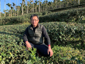 ▲金獅莊園連福製茶朱峰寬特別介紹茶園是以符合三安農法規範的方式栽植。（照片／台灣扶農協會提供）