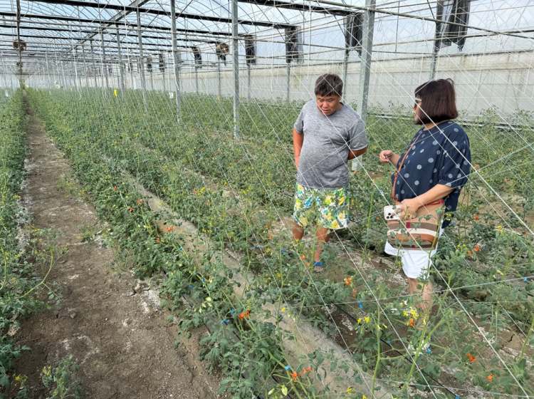 台灣扶農總會倡議三安農法，除輔導農友大幅減少使用農藥外，還能夠提高農友的收益。(照片／台灣扶農總會提供)